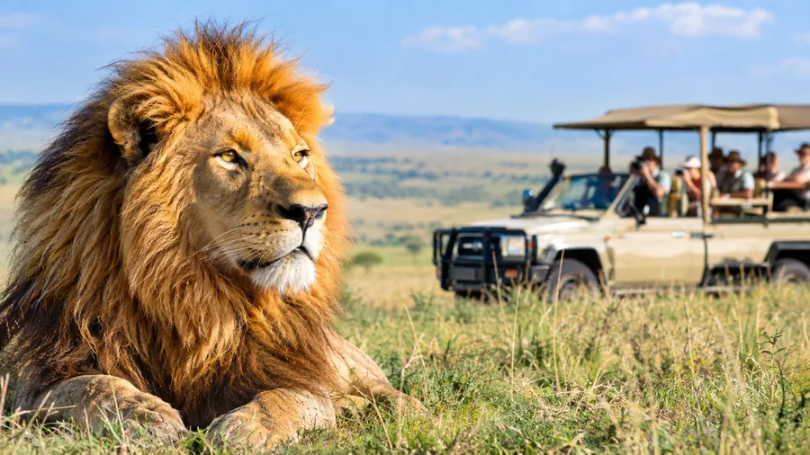 Safari-Kosten, Preise und Parkgebühren im Masai Mara