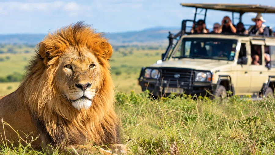 Forfaits safaris et itinéraires de voyage au Masai Mara