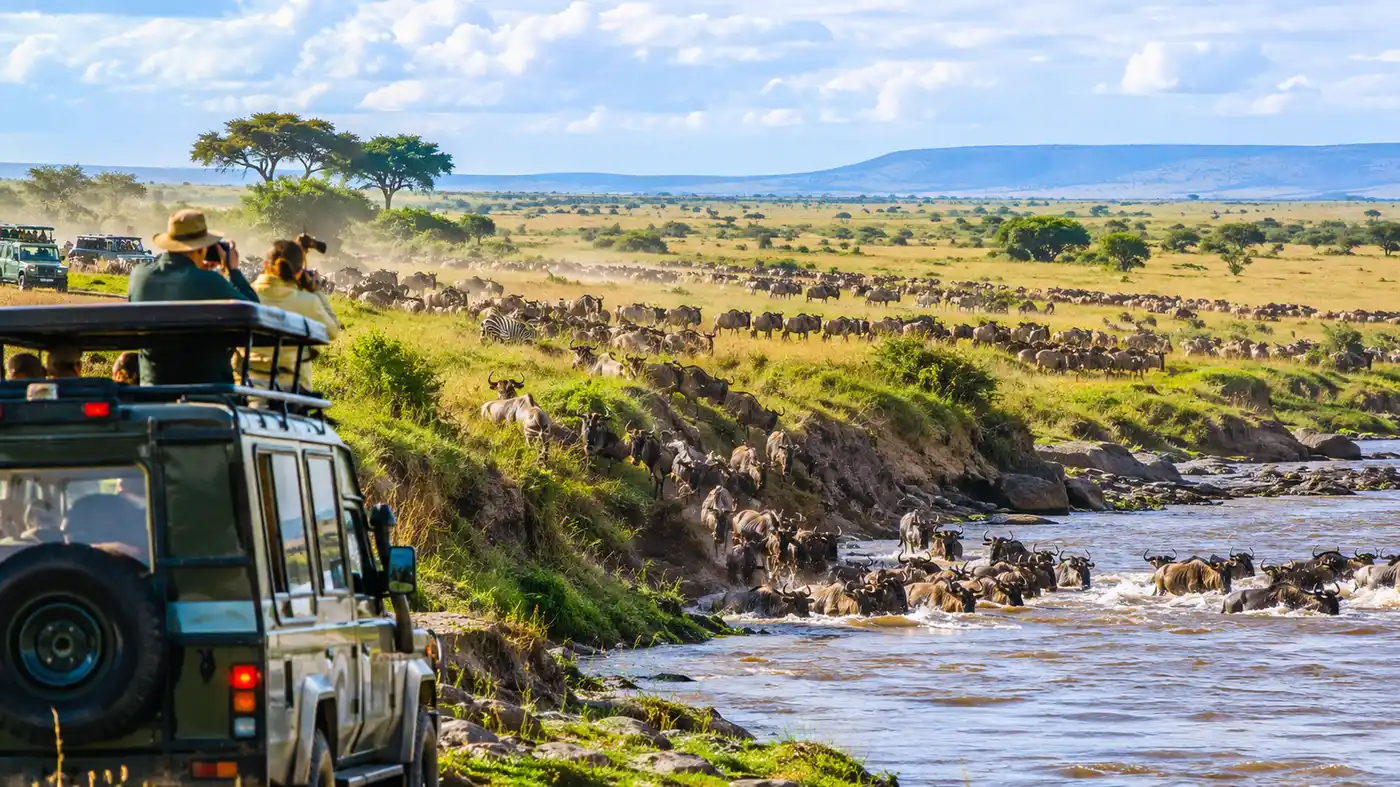 Guía de safari de la migración de Masai Mara y Serengeti