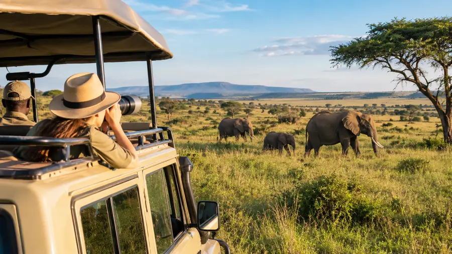 Besuch des Masai Mara Nationalreservats: Reiseplanung und Fotos